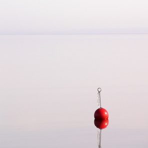 a fishing bobber partially submerged in a vast body of water