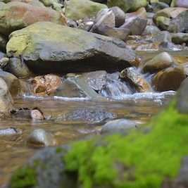 close up of a stream running over mossy rocks