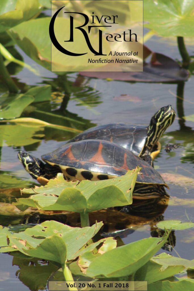 RT 20.1 Cover