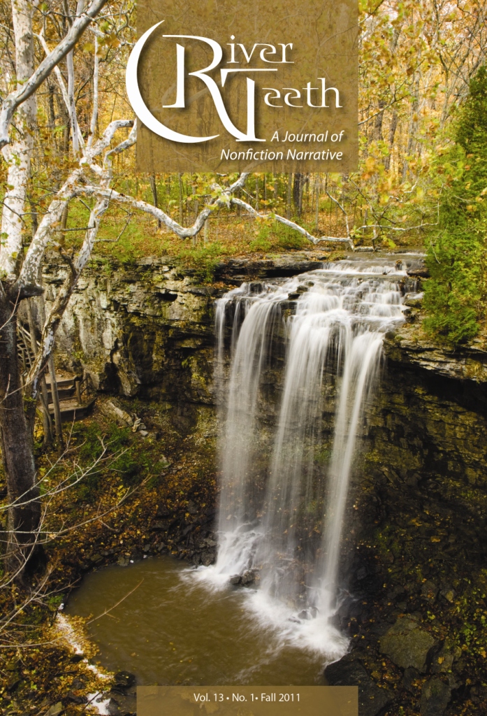 Issue cover for 13.1, a waterfall in a forest with yellow and green foliage.