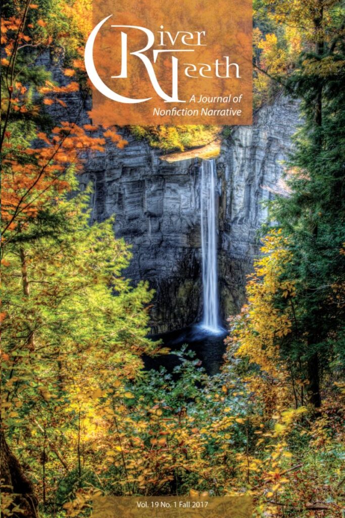 Waterfall with autumn leaves