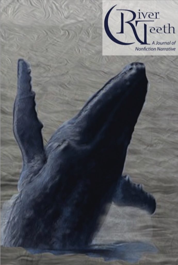 Cover of RT 23.1, Whales Dancing