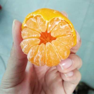 Half-peeled orange