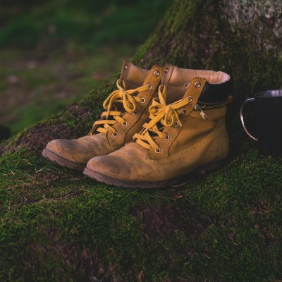 Hiking shoes on mossy tree
