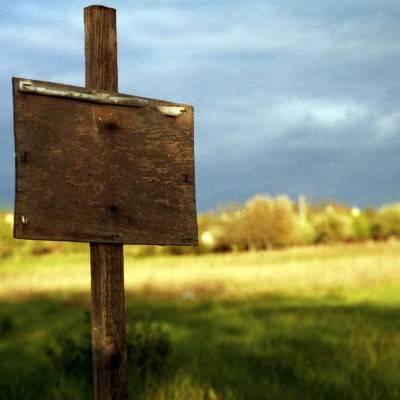 Blank wooden sign in meadow