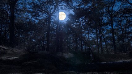 moon and forest