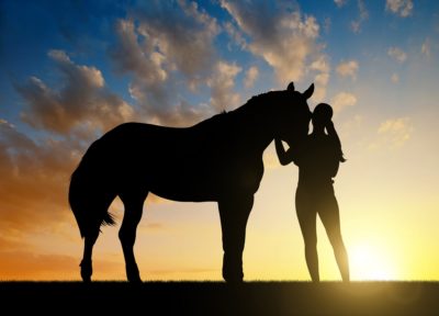 A horse and its owner stand silhouetted against a setting sun