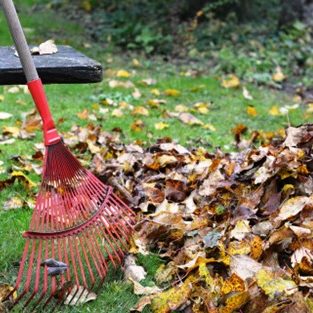 A pile of fallen leaves and a red rake. The rake is leaning against a bench.