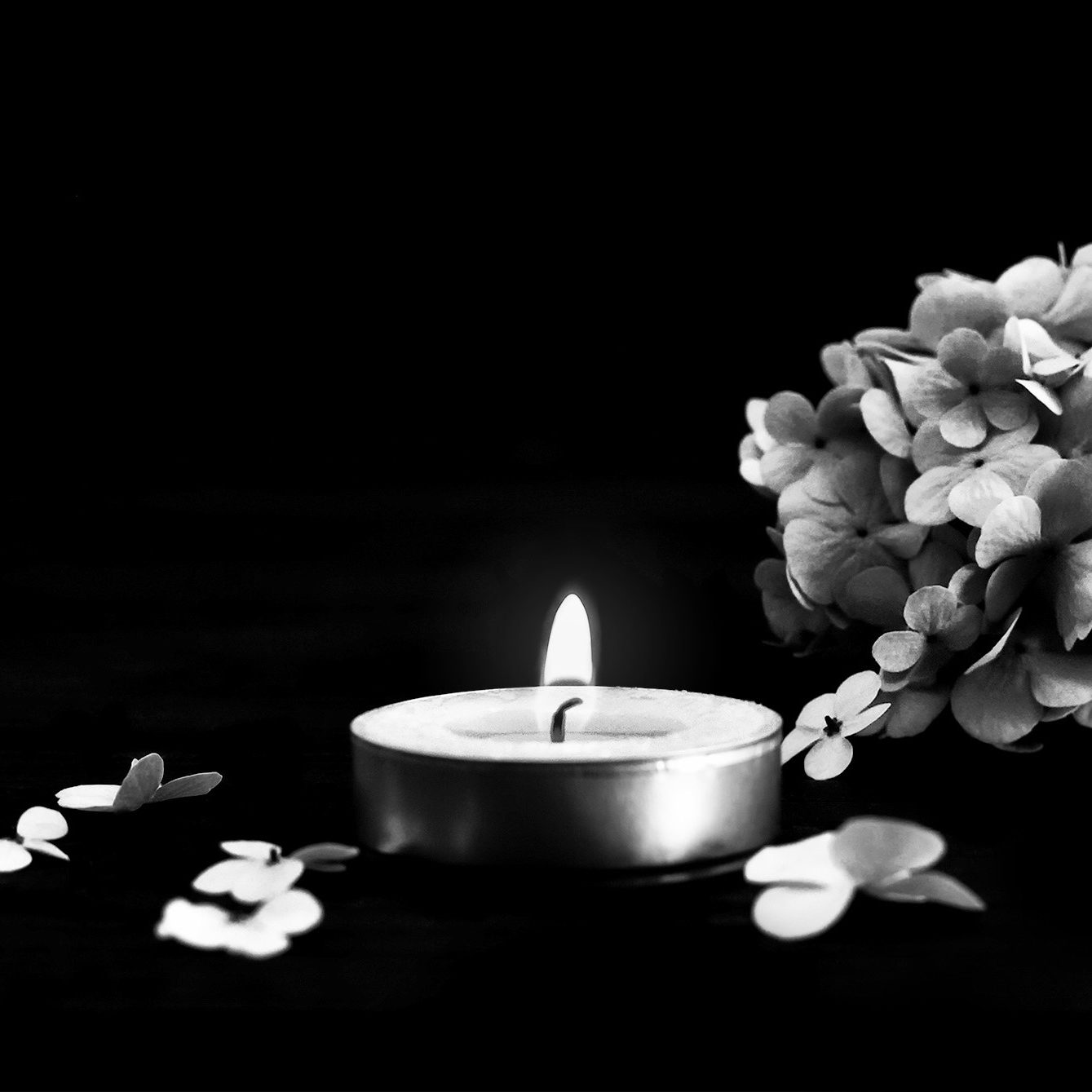 A tea candle light and flowers in grayscale against a black backdrop