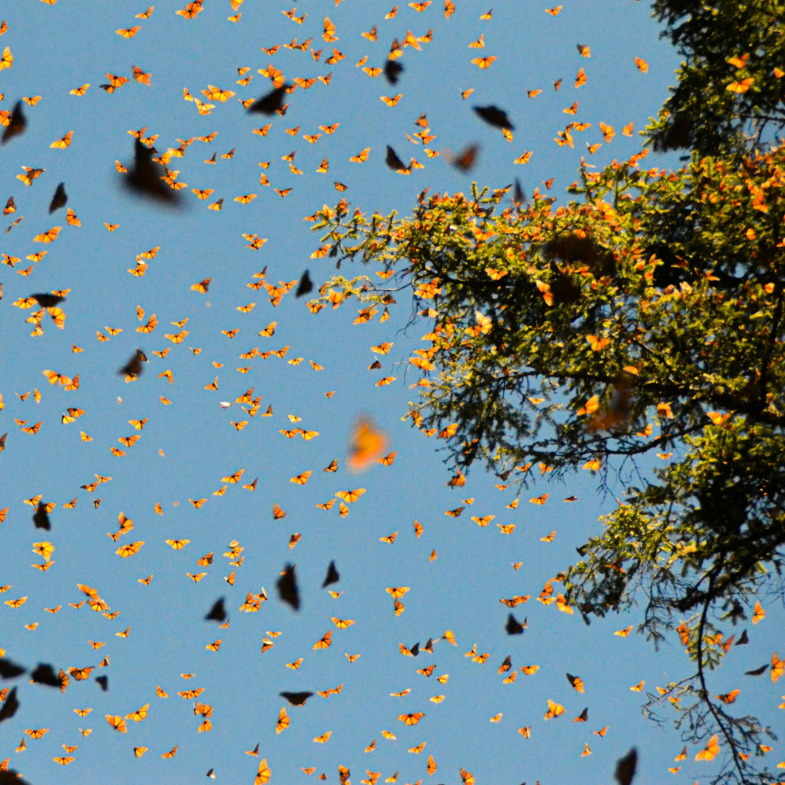 BLUFFS Pexels Ernesto Reiez 1