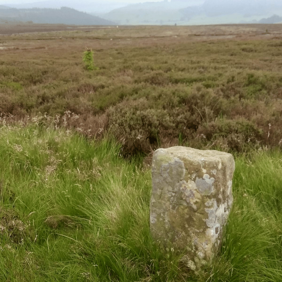 2020-06-16-Boundary-Stone-Great-Ayton-Moor